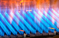 Plas Meredydd gas fired boilers